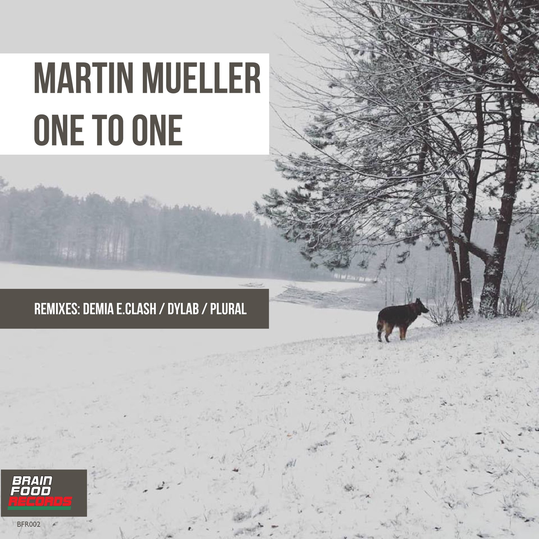 Martin Mueller – One To One (dyLAB Remix)